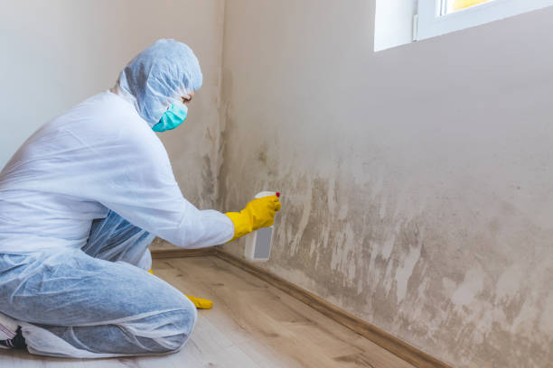 Crawl Space Mold Removal in Reno, OH