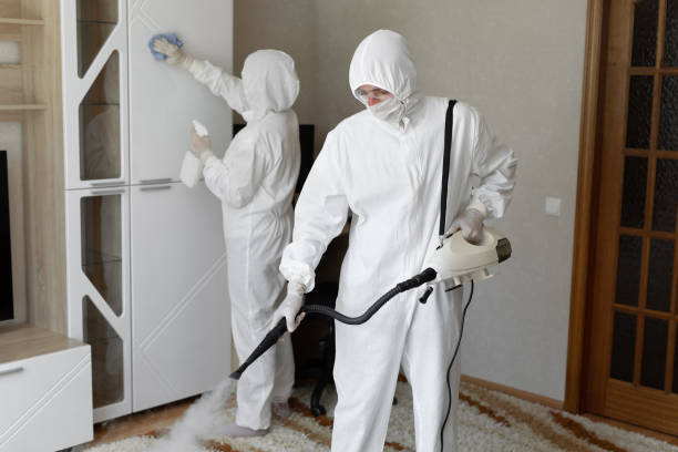 Best Commercial Mold Removal  in Reno, OH